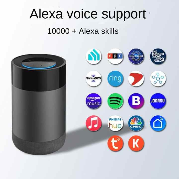 smart speaker 