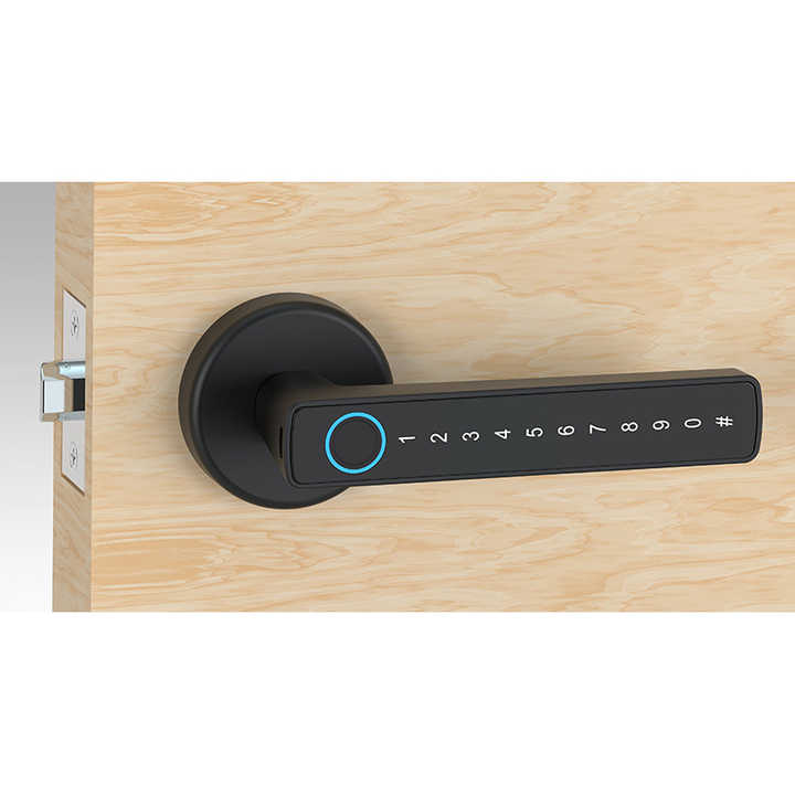 Digital electronic fingerprint arm 