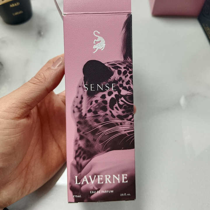 High Quality 75ML Eau De Parfum Luxury Arabic Lasting Fragrance Women's Perfume for Women Wholesale 