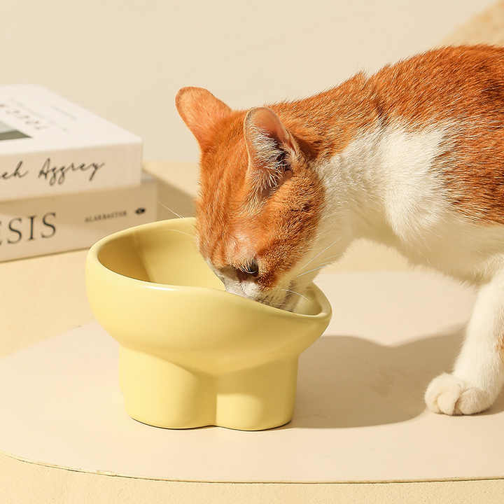Extra Wide Ceramic Cat Food and Water Dishes with Extra Height - Bowls &amp; Feeders 