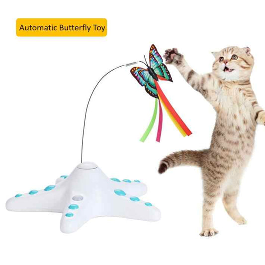 Pet Toys - Pet Accessories 