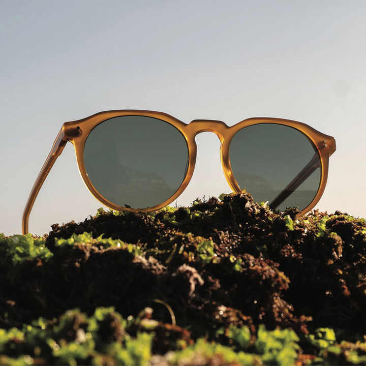 Sunglasses for women