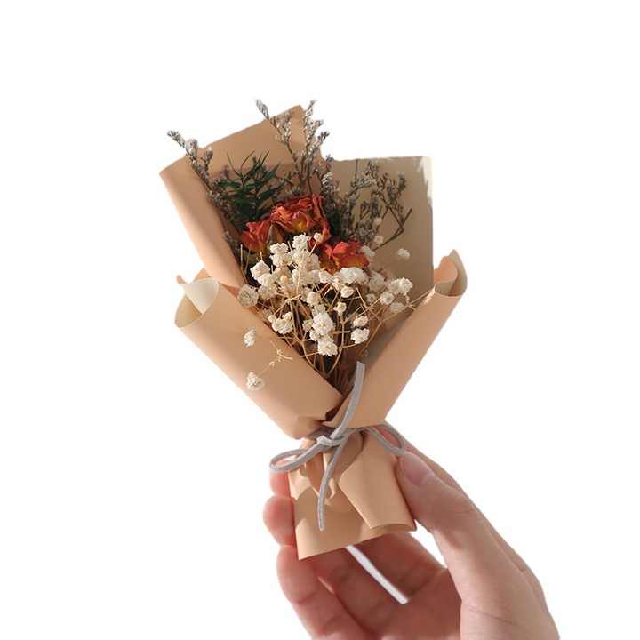 Plants Baby's Stars-Dried Flowers 