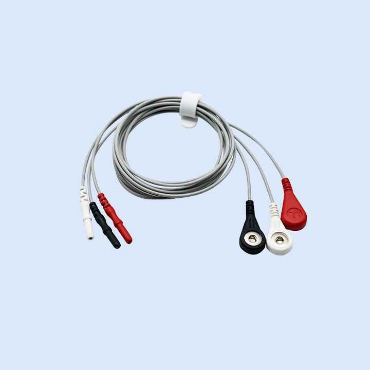 OEM Type D 3 Lead Dynamic ECG Machine 
