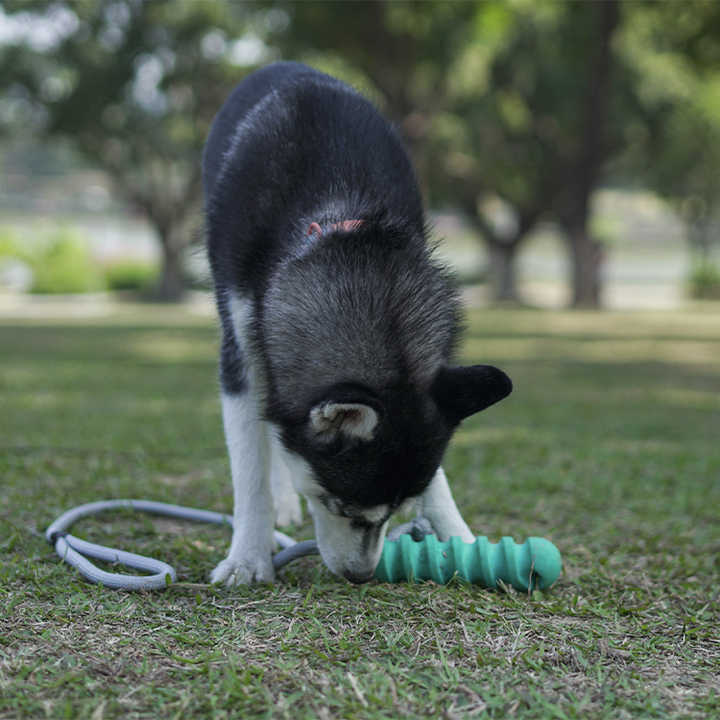 Interactive Rope Toy for Dogs - Pet Accessories 