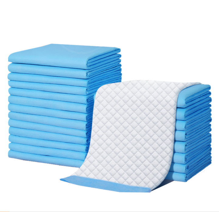 Toilet Training Pad - Medical Pet Supplies 