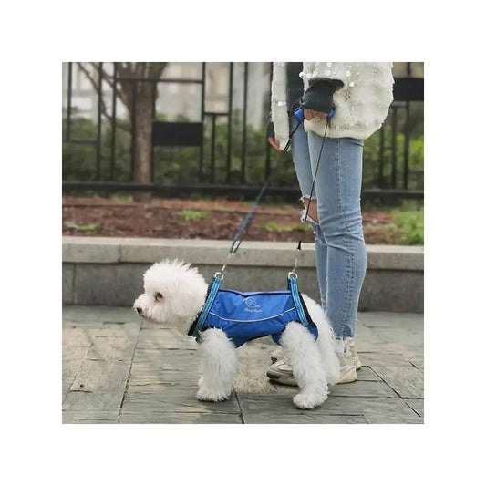 Animal Accessories - Pet Supplies 