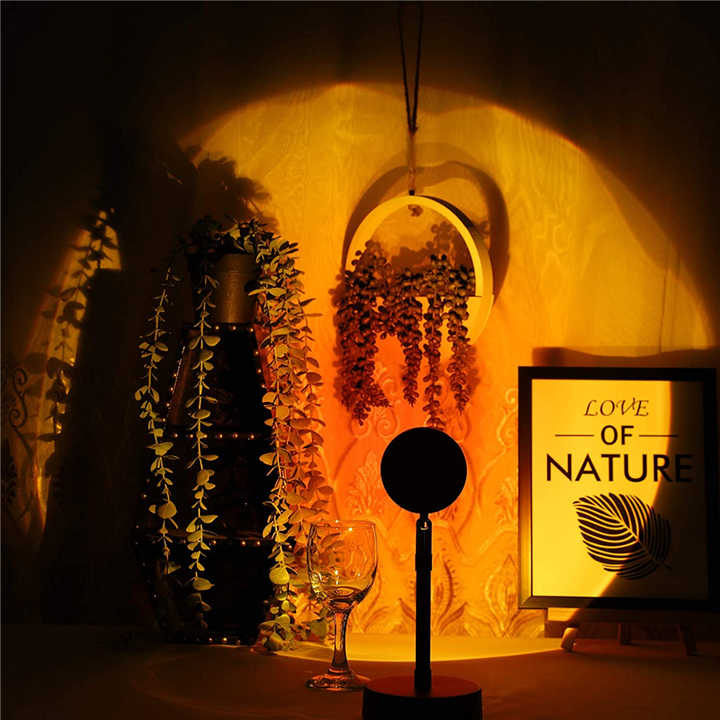 arc projection lamp 