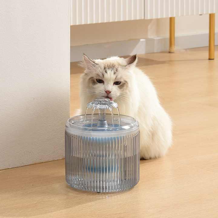 Bowls and feeders - animal water dispenser 