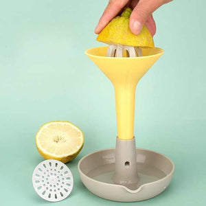 Manual lemon squeezer, cutting boards and equipment 