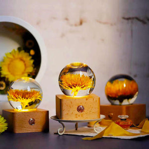 Unique Hot Item Novelty Gifts-Night Light 