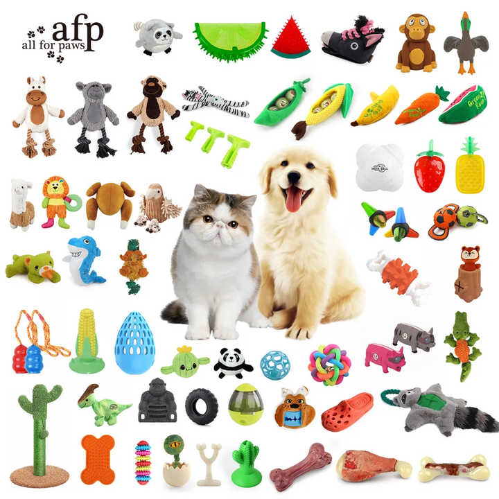 Squeaky Chew Toys - Pet Accessories 