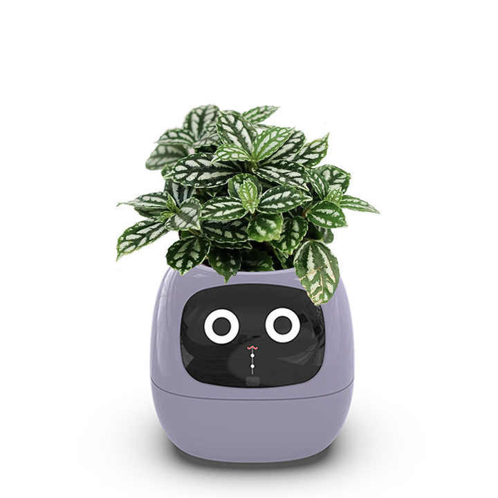 smart flower pot 