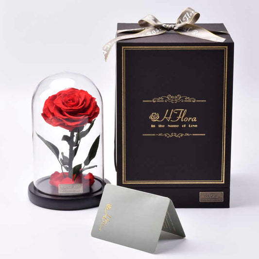 Preserved Roses in Glass Dome - Decorative Flower Gift Box