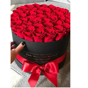 Rose Flower Gifts 