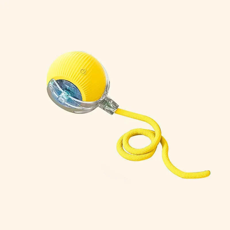Animal Accessories - Interactive Toy Ball 