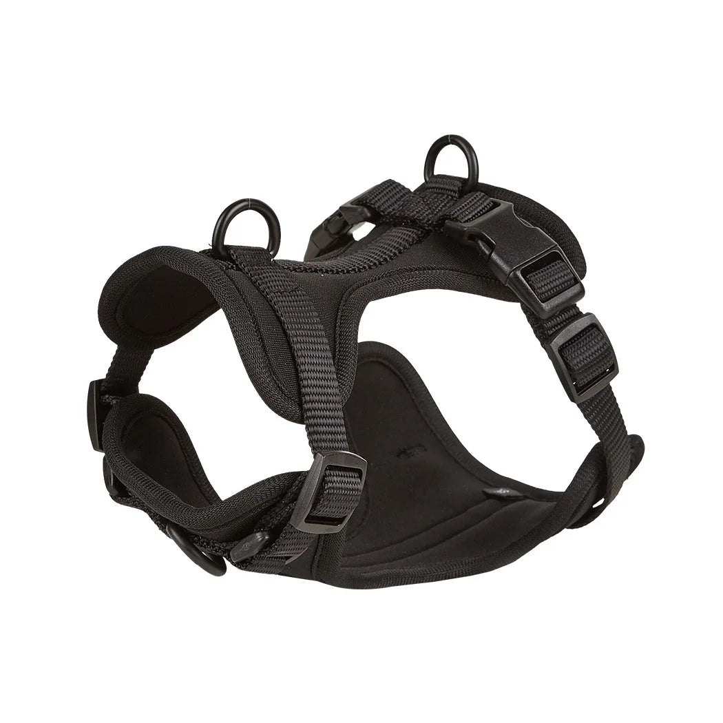 Pet Accessories - Pet Walking 