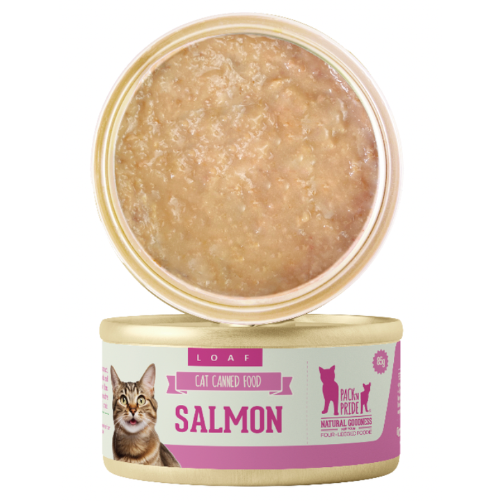 Cat food bowls and feeders