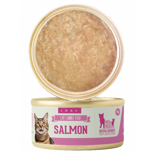 Cat food bowls and feeders