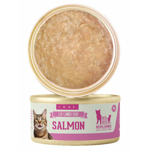 Cat food bowls and feeders