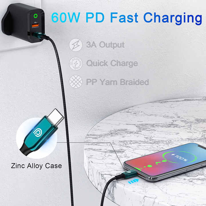 Fast charger 