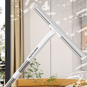 Cleaning bathroom windows and floors