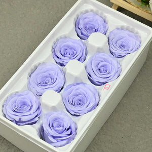 A Grade Eternal Real Natural Box of Rose Flowers 
