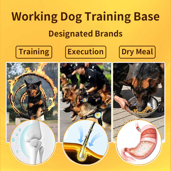 أرنب للحيوانات الأليفة OEM g OEM بسعر الجملة من المصنع المصنع من الدجاج عالي الجودة للطيور جيدًا OEM pet food sample g OEM wholesale from factory high protein food premium natural dry dog food