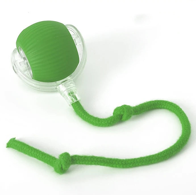 Cat play ball, animal accessories