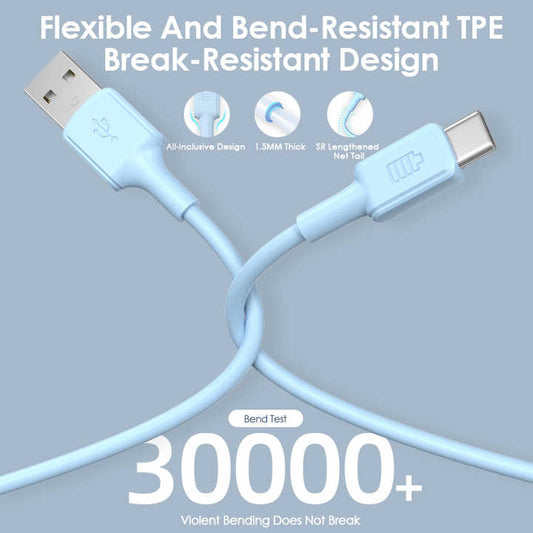Fast charger 
