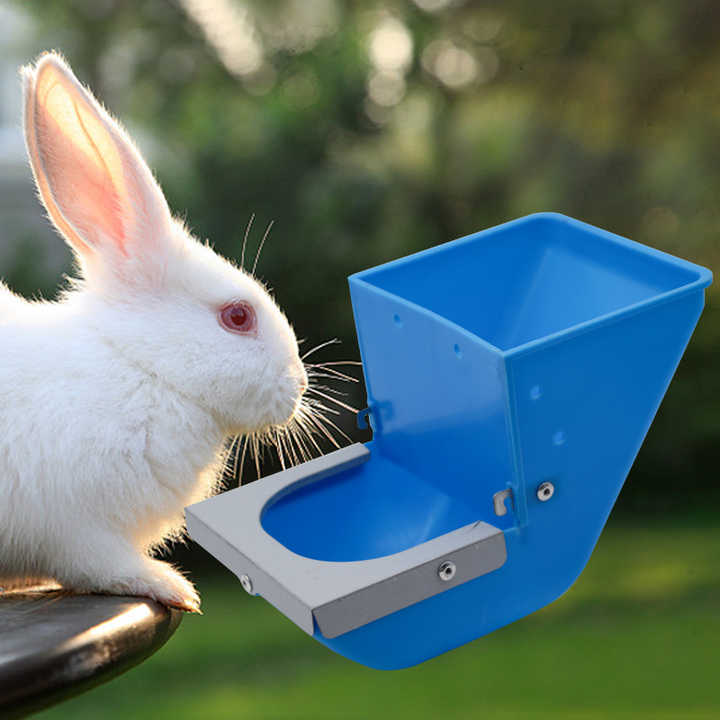 Bowls and Feeders - Plastic and Steel Food Feeder for Rabbit Cage 