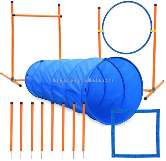 Outdoor Dog Toys - Pet Accessories 