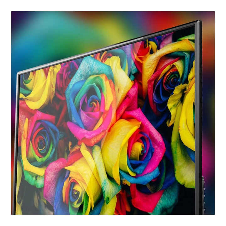 تلفزيون شبكي 95 - تلفزيون