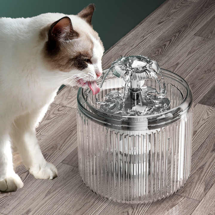 Bowls and feeders - animal water dispenser 