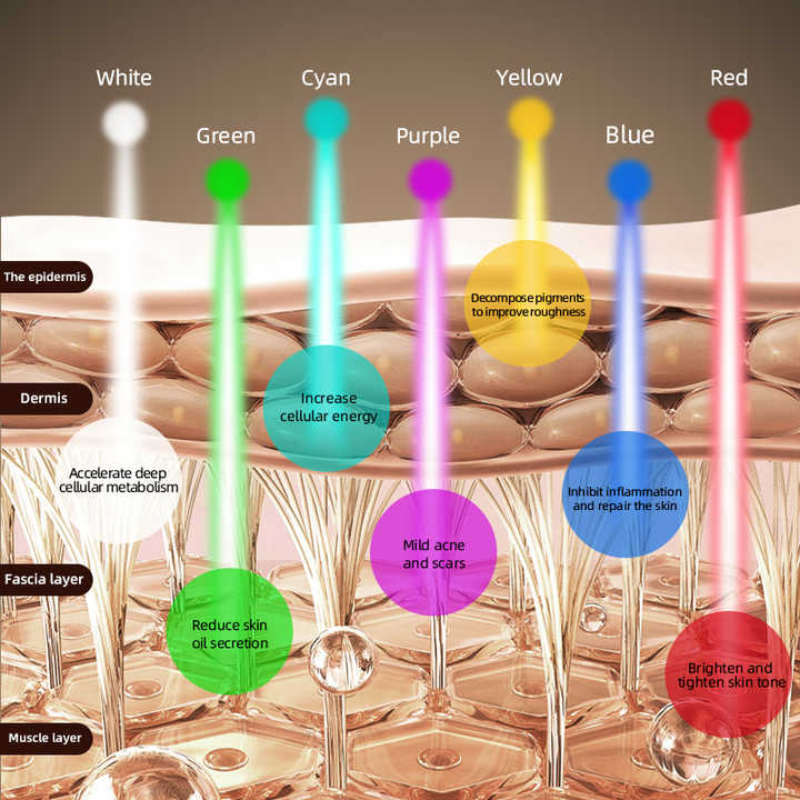Facial Rejuvenation Led Face Mask - 2025 New Design Whitening Skin Care for Home Use,