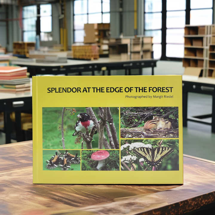 Large size cover novels 