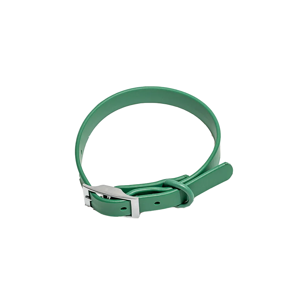 Pet Accessories - Pet Walking 