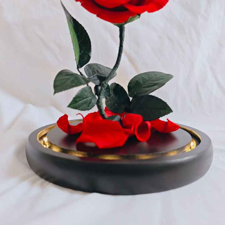 Gift for Valentine's Day and Birthday Gifts- High Value Real Rose Flowers