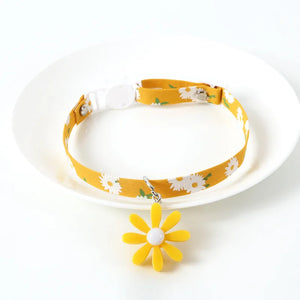 Tie knot - Animal accessories 