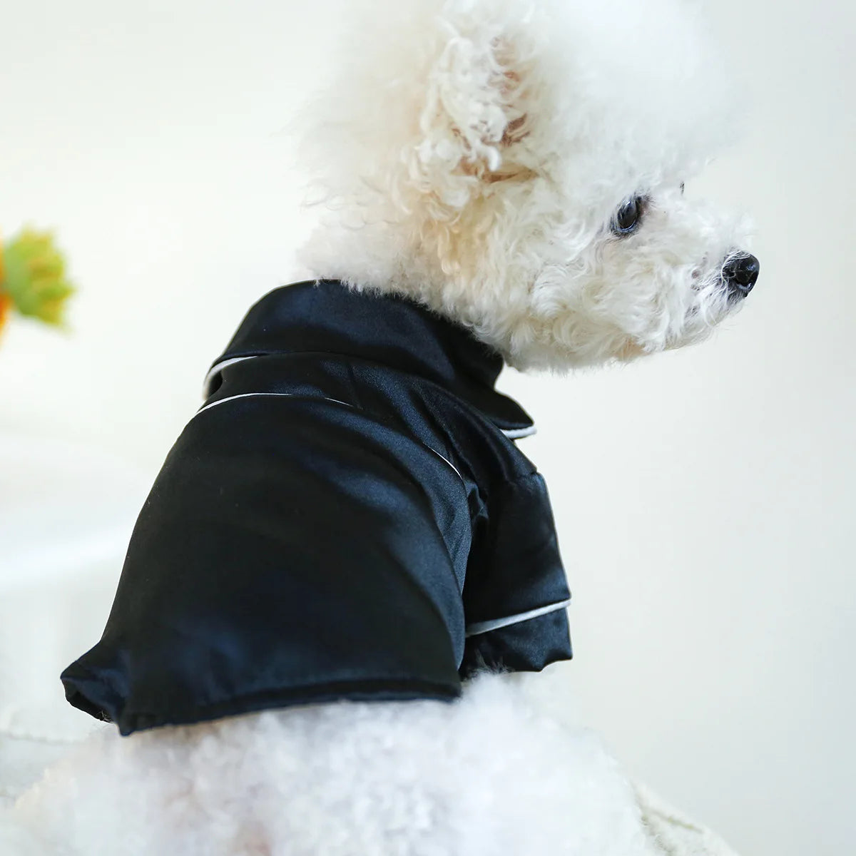 Pet Clothes-Clothing 