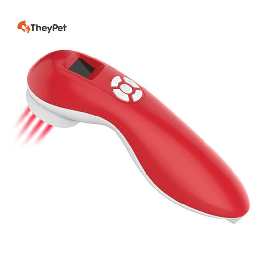 Veterinary cold laser therapy equipment 