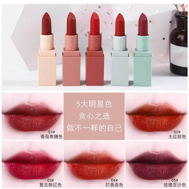 Long Lasting Private Label 5 in 1 Lipstick Set Korean Cosmetics Makeup 
