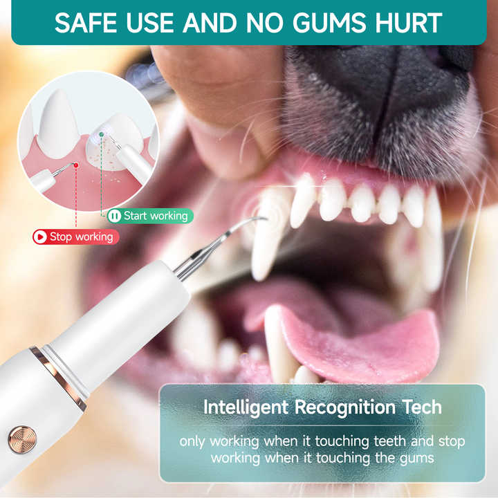 Smart Device for Cleaning Animal Teeth - Animal Medical Supplies 