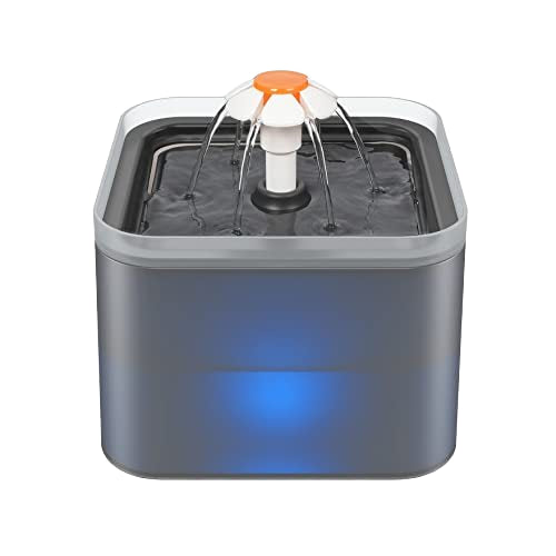 2L Plastic Pet Bowl - Bowls &amp; Feeders. 