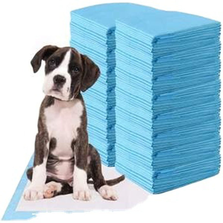 Toilet Training Pad - Medical Pet Supplies 