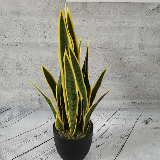 زينة بلاستيكية صناعية للحديقة-Artificial plastic garden decorations