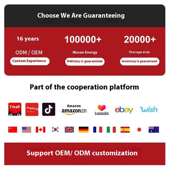 Portable garment steamer 