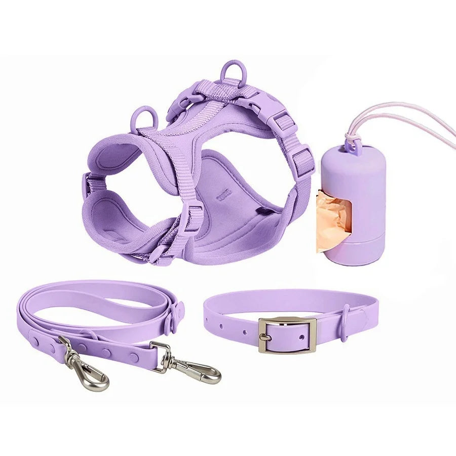 Pet Accessories - Pet Walking 