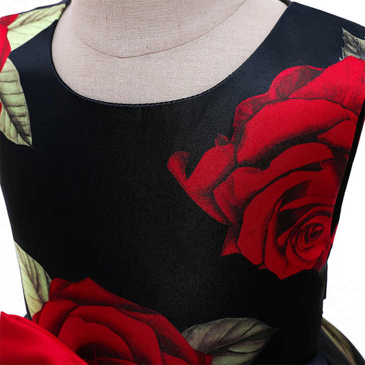 فستان أميرات princess dress