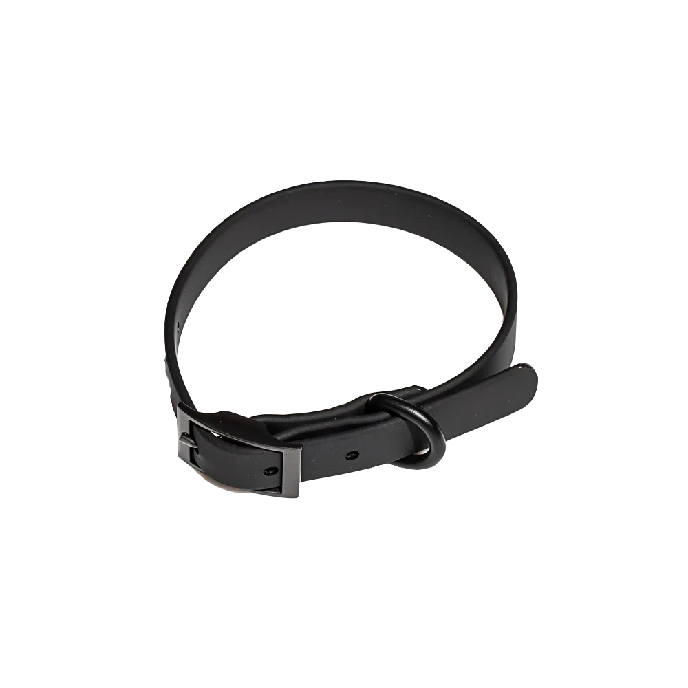Pet Accessories - Pet Walking 